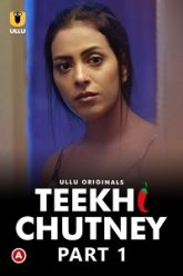 Teekhi-Chutney
